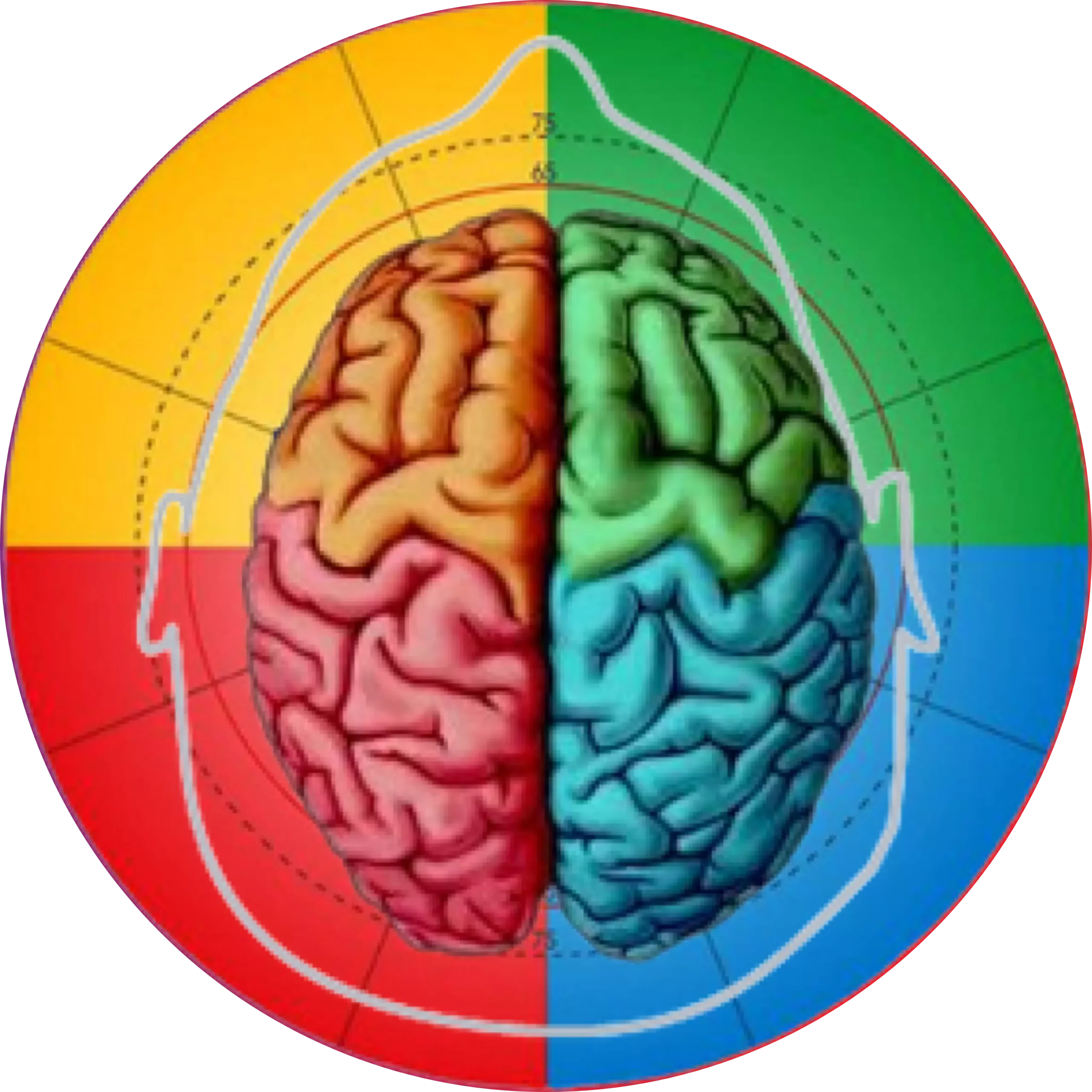 PRISM Brain Mapping